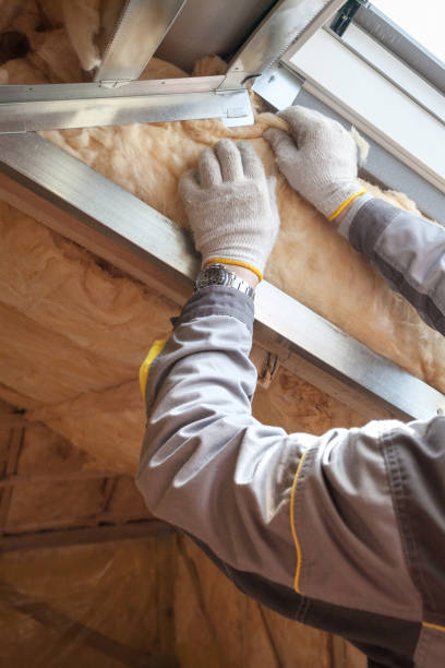 Best Residential Insulation in Ripley, MS