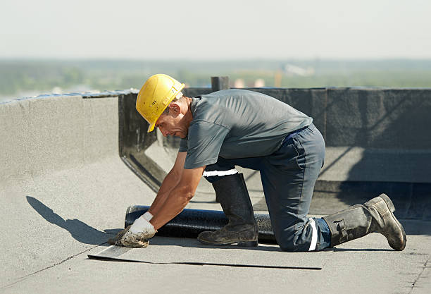Best Energy Efficiency Solutions in Ripley, MS