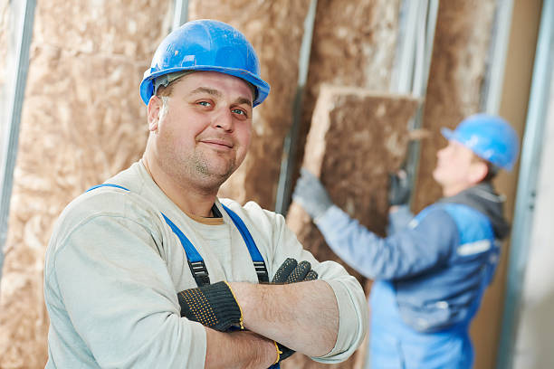 Best Insulation Installation Services in Ripley, MS